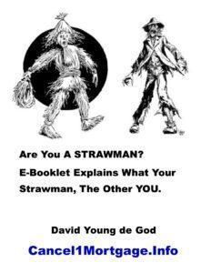 How to termininate your strawman e booklet cover