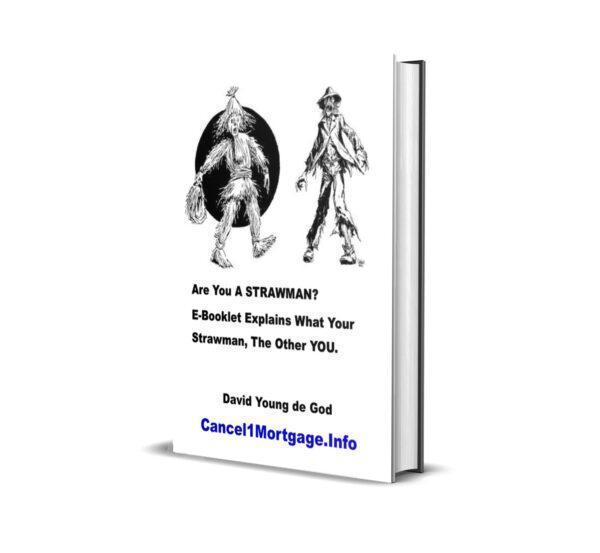 How to termininate your strawman e booklet cover1